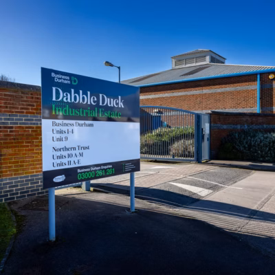 Dabble Duck Climb & Conquer
