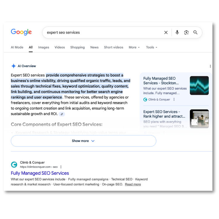 Expert SEO Services Google Search